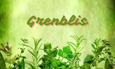 Grenblis: The Ancient Miracle Compound with Modern Benefits