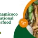 Exploring Soymamicoco: A Fusion of Flavor and Wellness