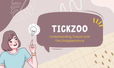 Understanding Tickzoo and The Disappearance