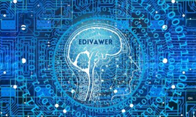 Discovering Edivawer: The Ultimate Guide for Beginners