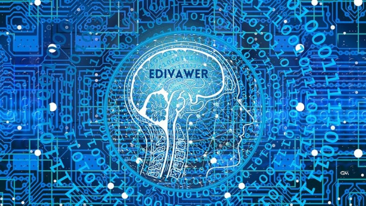 Discovering Edivawer: The Ultimate Guide for Beginners