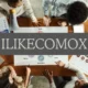 Discover ilikecomox: The Future of Digital Connections