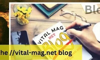 The Vital-Mag.net Blog – A Detailed Study