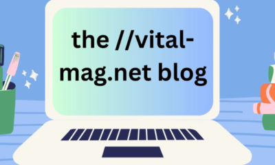 Vital-Mag.net Blog: A Comprehensive Guide