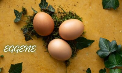 Eggene! Unveiling The Linguistic Marvel Of Pluralizing Eggs