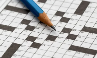 Why Should You Use the ‘hellseed Crossword’ in Spanish?