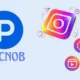 Picnob: Revolutionizing the Instagram Experience