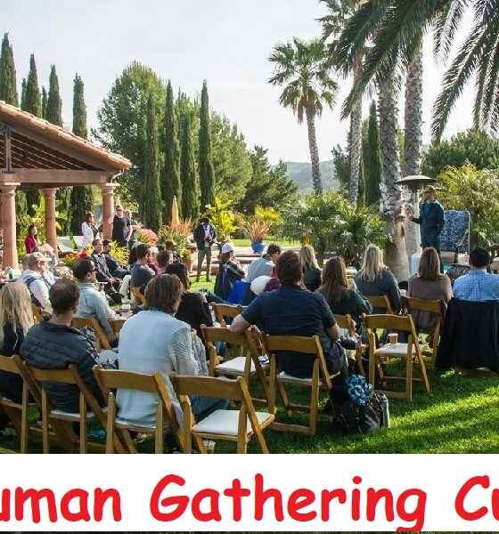 The Human Gathering Cult: A Comprehensive Guide