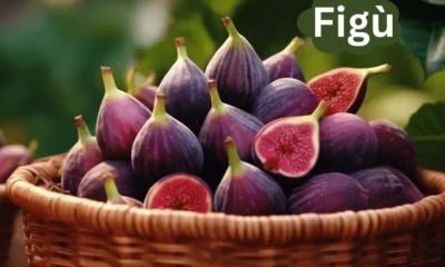 Figù: The Exotic Fruit That Boosts Health and Biodiversity