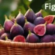 Figù: The Exotic Fruit That Boosts Health and Biodiversity