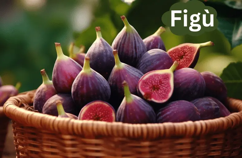 Figù: The Exotic Fruit That Boosts Health and Biodiversity